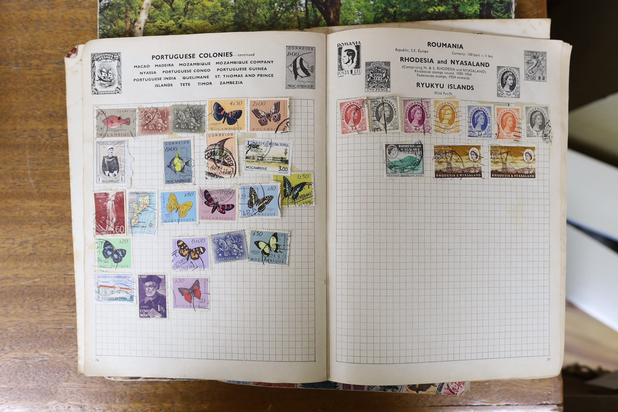 Six albums of World stamps and a box of loose stamps
